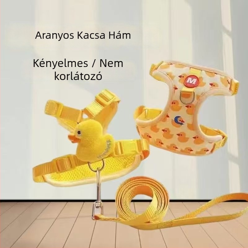 Kis testű kutyáknak nyújtható póráz mellkashámval (Teddy/Bichon)