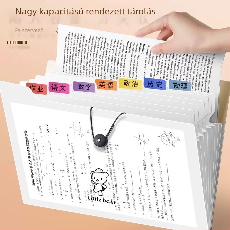 A4 akordeonos dokumentumfájl, 5 rekesz, műanyag, iratrendező