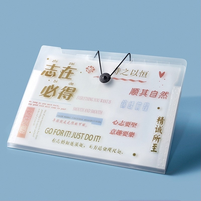 A4 akordeonos dokumentumfájl, 5 rekesz, műanyag, iratrendező