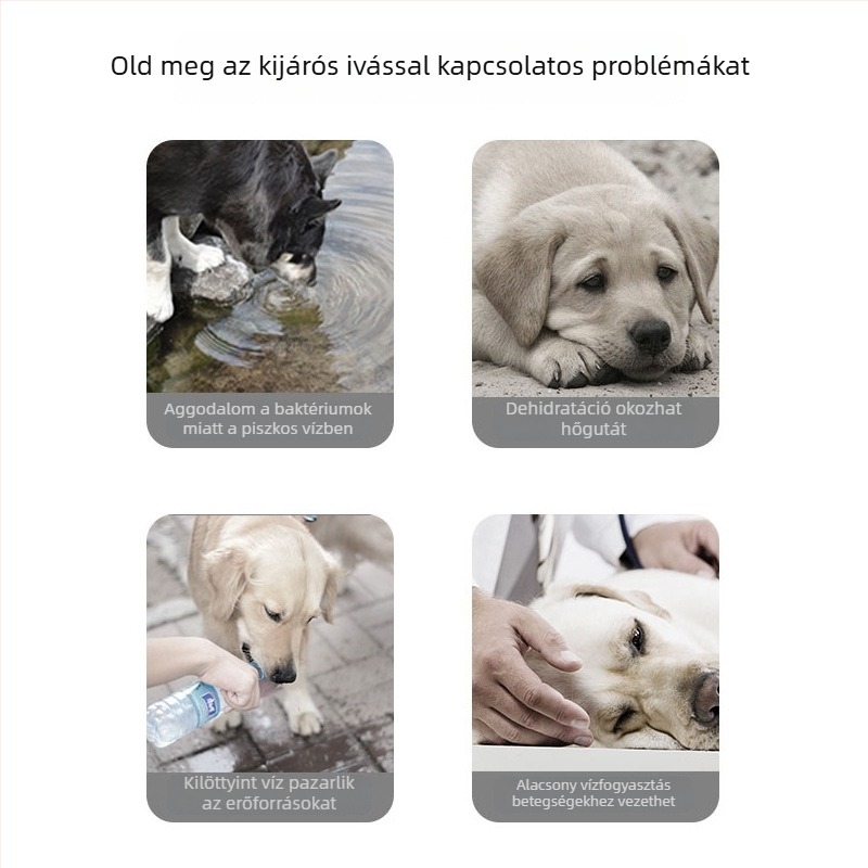 Hordozható kutyavíztál — többfunkciós víz adagoló kutyáknak; anyag: PP/PC/szilikon; márka Leyoupai; termékkód Pet tumbler; csomagolás 40 db