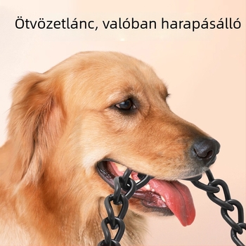 Kutyatrakció lánc Chong Baihui – kód zs-0419, anyag: Egyéb, kategória: Kisállat láncok és kötelek
