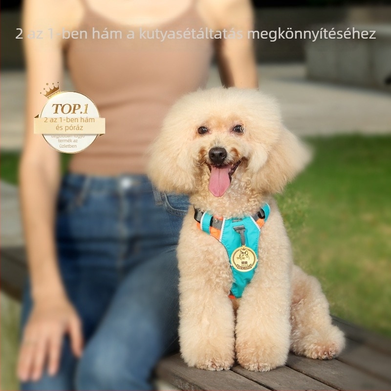 Állítható kutya-mellény hám, kistől nagytestű fajtákig (Labrador, Golden Retriever, Corgi) sétákhoz