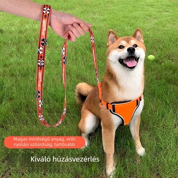 Poliészter kutyapóráz, vontatóöv, 250 darabos csomag, Guangdong eredet