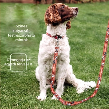 Poliészter kutyapóráz, vontatóöv, 250 darabos csomag, Guangdong eredet