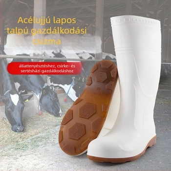 PVC felsőrészű esőcsizma, műanyag talp, magas cső, egybeöntött formázás, lélegző