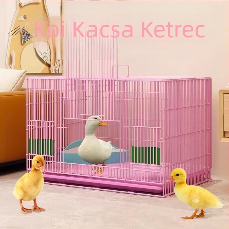 Belső fém ketrec kis kacsák és gyöngytyúk számára – szagcsökkentő, kompakt otthoni baromfi ketrec