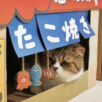 Misspet Nagy méretű japán stílusú macskatábla és macskaház, kétszintes ugróplatform macskáknak, háziállatjáték