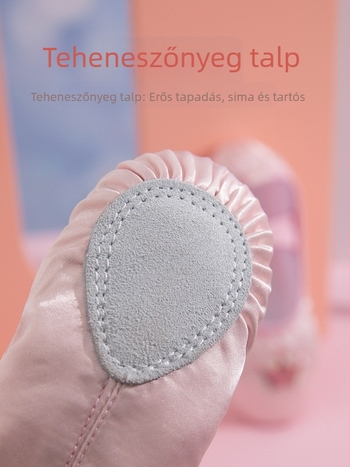 Gyermekeknek szóló lányok tánccipő koronás dizájnnal, felső része selyem, talp macska tappancs mintával, Speed angel