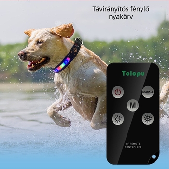 Kutyanyakörv – nylon, csíkos minta, univerzális kompatibilitás