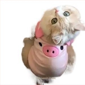 Tavaszi divat kisállat ruházat velúr-pamut anyagból kutyák és macskák számára — rajzfilm mellény Teddynek, Bichon-nak és Pudlinenak (japán/koreai stílus inspiráció)