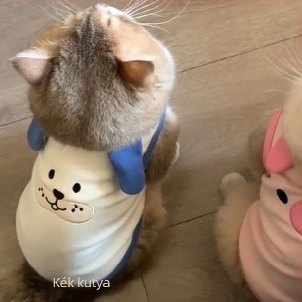 Tavaszi divat kisállat ruházat velúr-pamut anyagból kutyák és macskák számára — rajzfilm mellény Teddynek, Bichon-nak és Pudlinenak (japán/koreai stílus inspiráció)