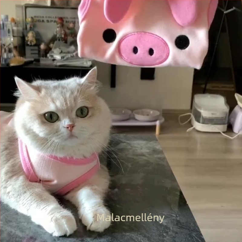 Tavaszi divat kisállat ruházat velúr-pamut anyagból kutyák és macskák számára — rajzfilm mellény Teddynek, Bichon-nak és Pudlinenak (japán/koreai stílus inspiráció)