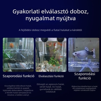 Külső kampóval ellátott akvarisztikus inkubációs doboz, átlátszó PC inkubáló doboz guppy utódok számára