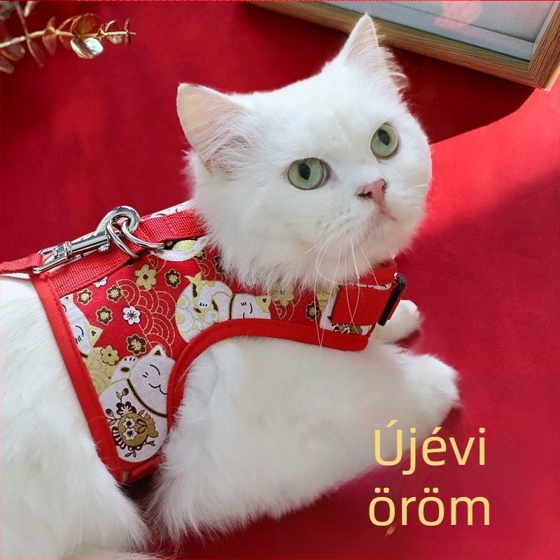 Macska hám és póráz – plüss Teddy-stílusú kis macskáknak, sétákhoz, kioldás elleni védelem