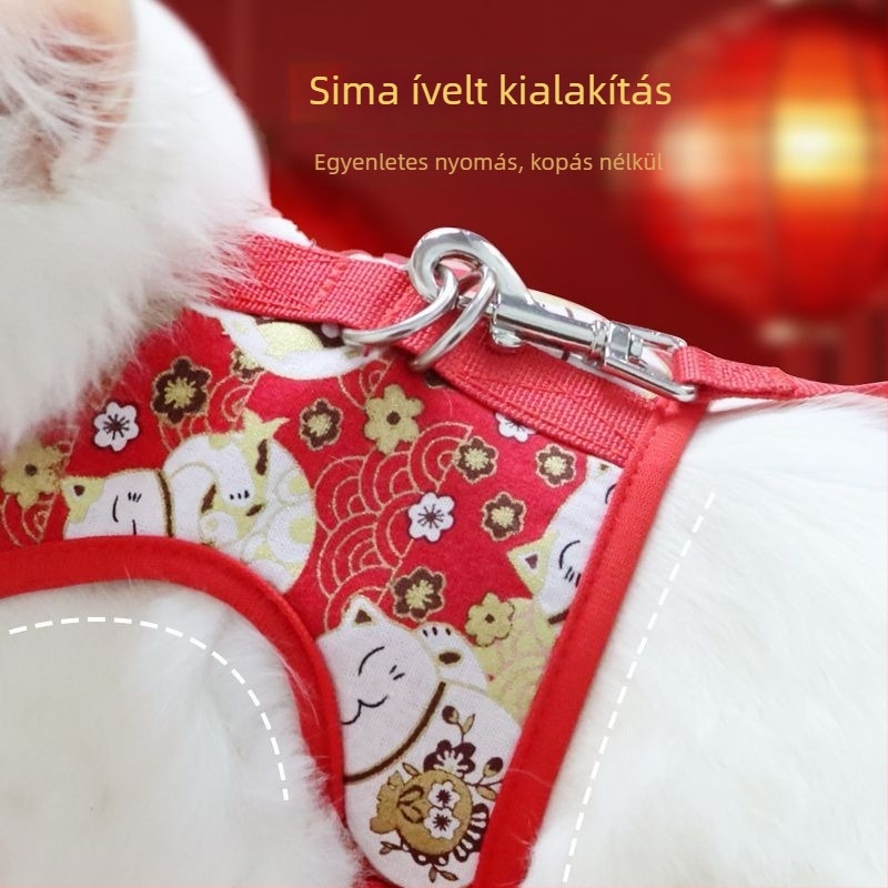 Macska hám és póráz – plüss Teddy-stílusú kis macskáknak, sétákhoz, kioldás elleni védelem