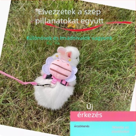 Állítható macska hám és póráz, kültéri sétákhoz, mellény-stílus, aranyos nyuszi mintával