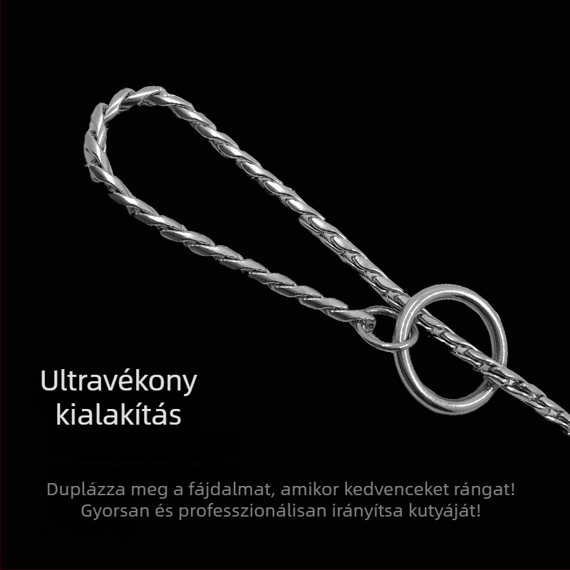 Meianju rozsdamentes acél P-lánc, versenyképes osztály, edzéshez és korrekcióhoz, vontató és irányító lánc, kutyanyakörv