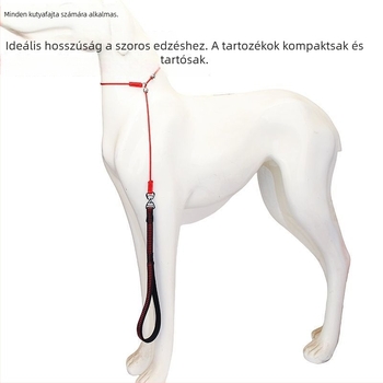 Rozsdamentes acélból készült, állítható edzőpóráz, edzéshez rögzített ponttal, csomózásmentes, kis- és közepes testű kutyáknak