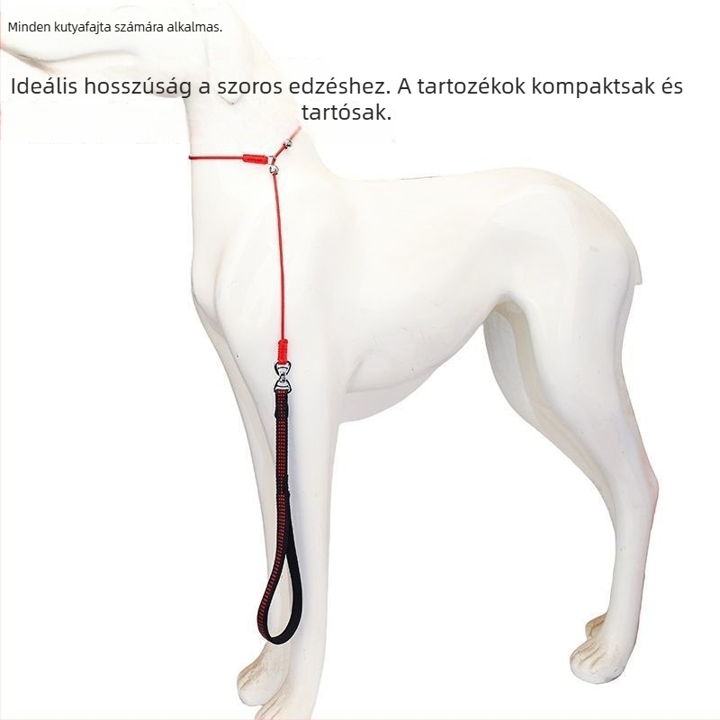 Rozsdamentes acélból készült, állítható edzőpóráz, edzéshez rögzített ponttal, csomózásmentes, kis- és közepes testű kutyáknak