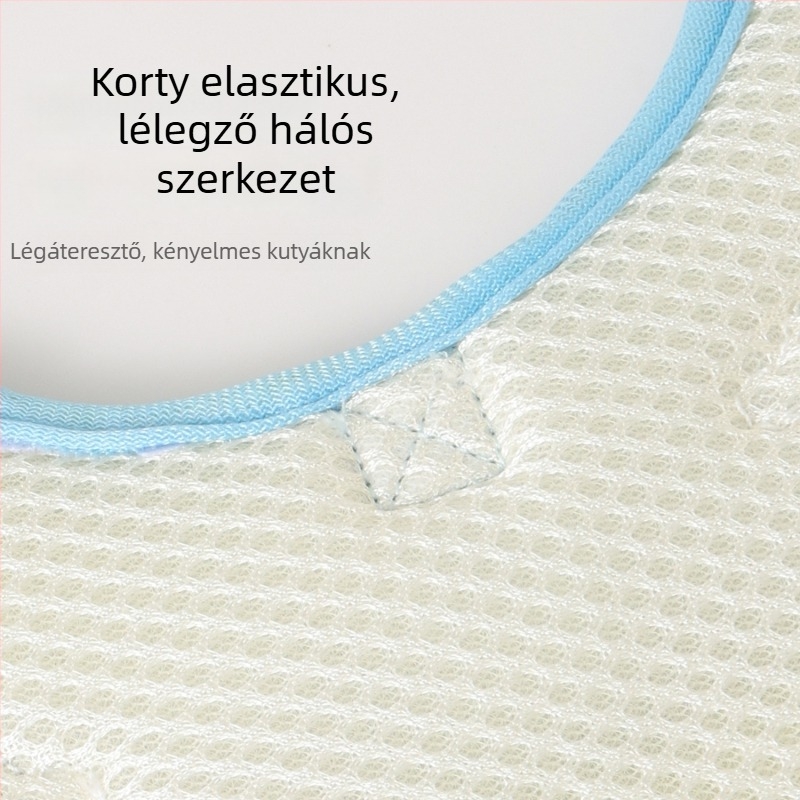 Öv-stílusú kutyahám pórázzal kis testű kutyáknak, akril rostból, Zhejiang eredetű, háziállat láncok és kötelek