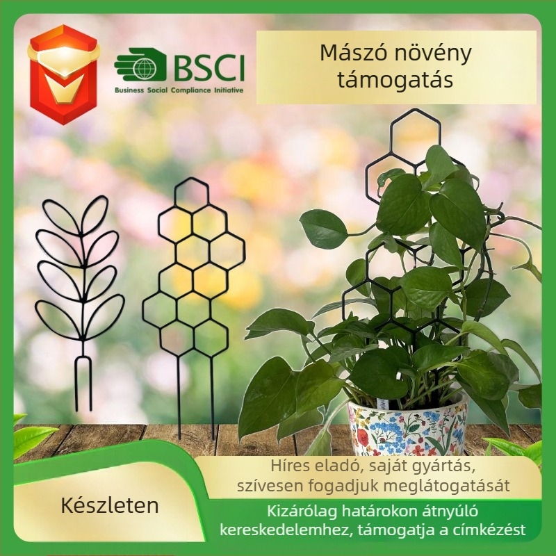 Kültéri növények kapaszkodó kerete, műanyagból, támogatja a kapaszkodó növényeket, nem importált, márka: Egyéb