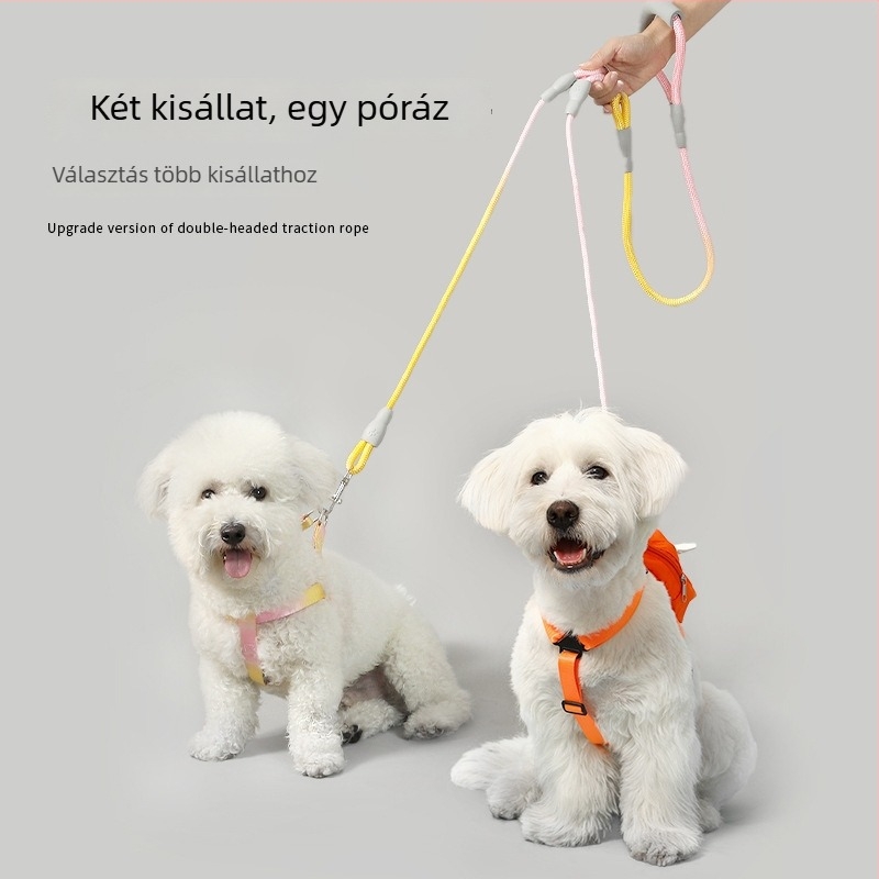 Közepes méretű kettős kutyapóráz két kutyának