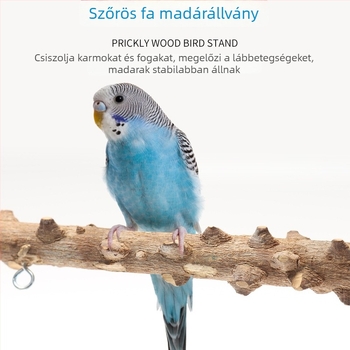 Papagáj állvány padlóra és interaktív platformmal — tömörfa és pepperwood, fém kiegészítők, minden madárhoz, márka Gatoo Forest