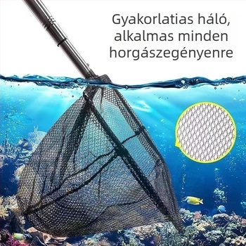 Aranyhalakhoz való akvarisztikai tisztító háló — négyszögletes keret, teleszkópos, kézi használatú, finom háló