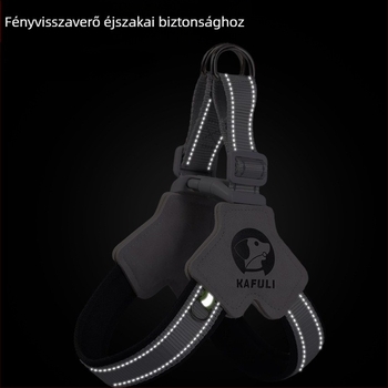 Fényvisszaverő nylon kutyapóráz és állítható hám nagytestű kutyáknak – kültéri sétákhoz