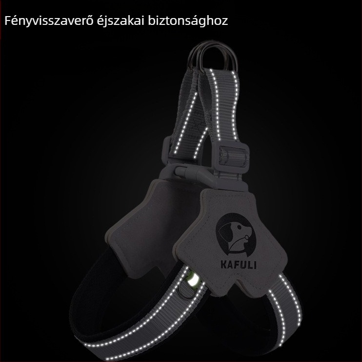 Fényvisszaverő nylon kutyapóráz és állítható hám nagytestű kutyáknak – kültéri sétákhoz