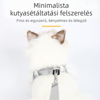 Háziállat póráz és hám, anyag textil, származás Zhejiang, macskáknak, kategória Tow strap, doboz 200 db