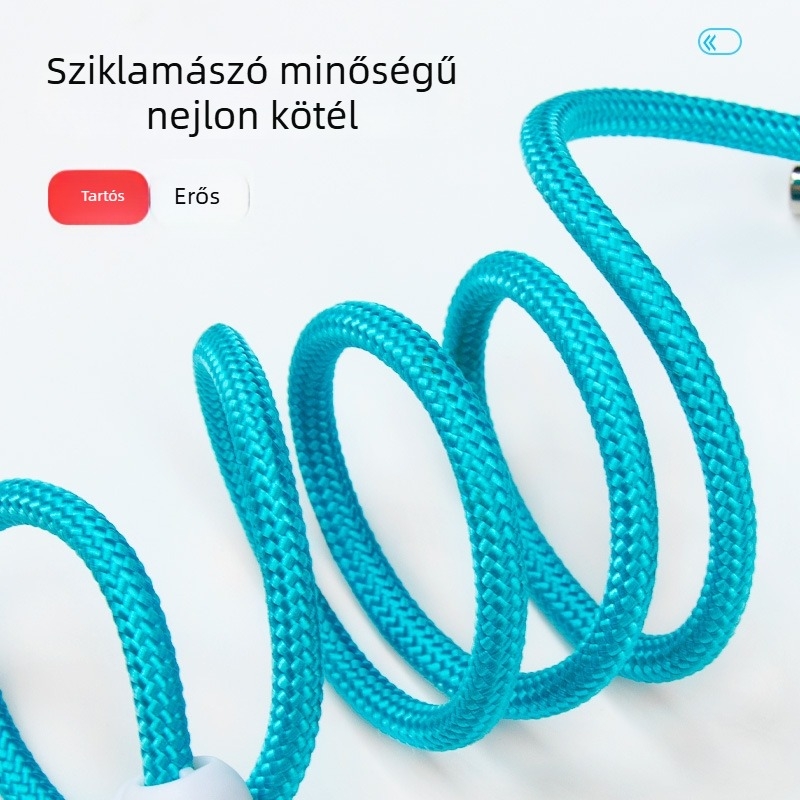 Versenykategóriás P zsinór és P lánc kutyapóráz – minden méretű kutyához, edzésre és sétákhoz, tekeredésmentes