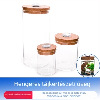 Cilindrikus boroszilikát üvegből készült DIY mini táj dekoráció mohával