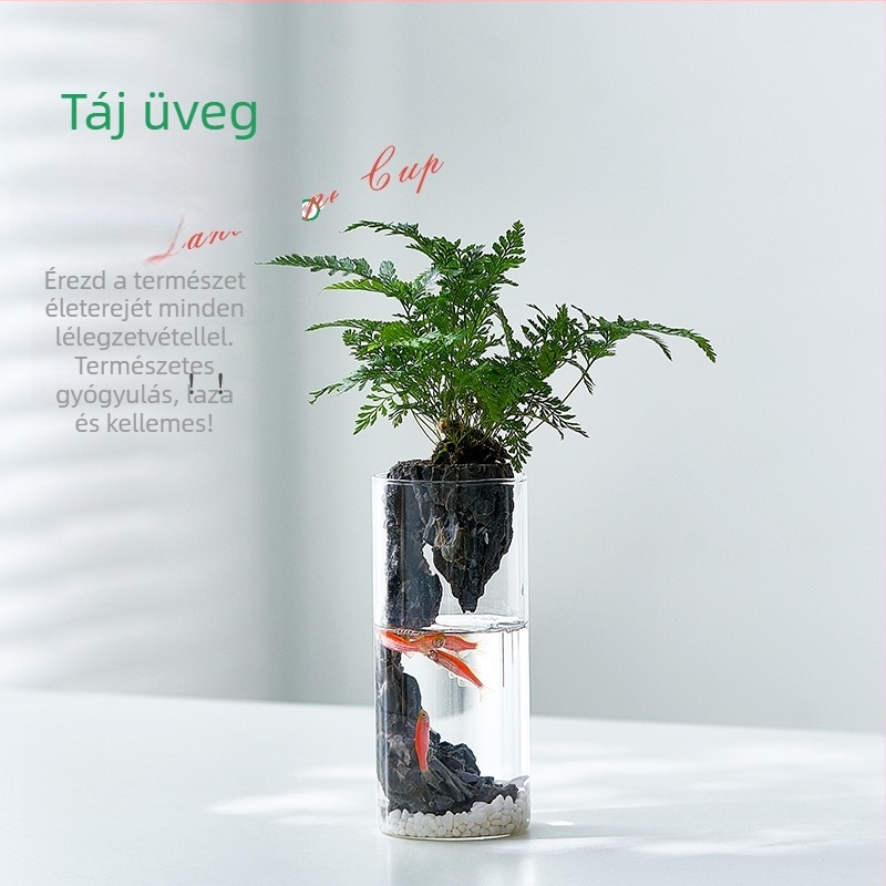 Mikro tájkép üveg pohárban hidropóniás növényekkel, asztali bonsai üvegpalackban, ökológiai üveg, mini bonsai