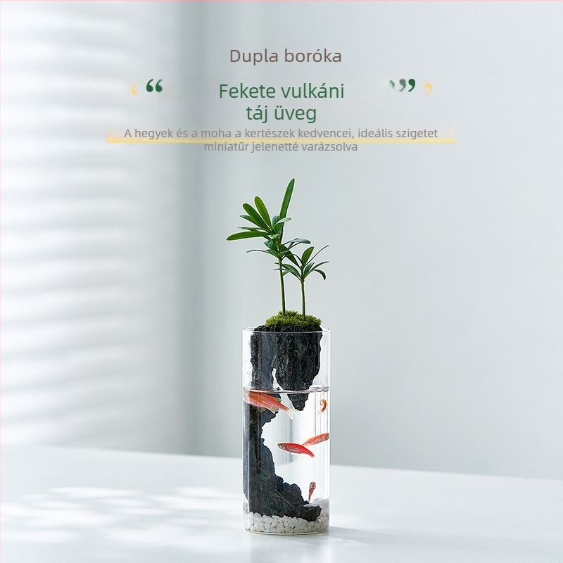 Mikro tájkép üveg pohárban hidropóniás növényekkel, asztali bonsai üvegpalackban, ökológiai üveg, mini bonsai