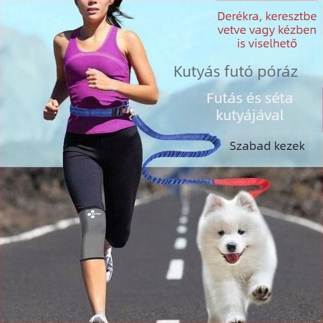 Nagytestű kutyákhoz készült póráz derékszíjjal, futó póráz
