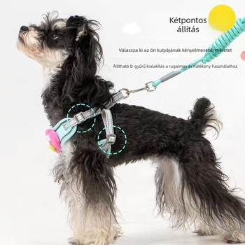 Kutyamellkas póráz, nylon kivitel, nem visszahúzható, 240 darabos csomag