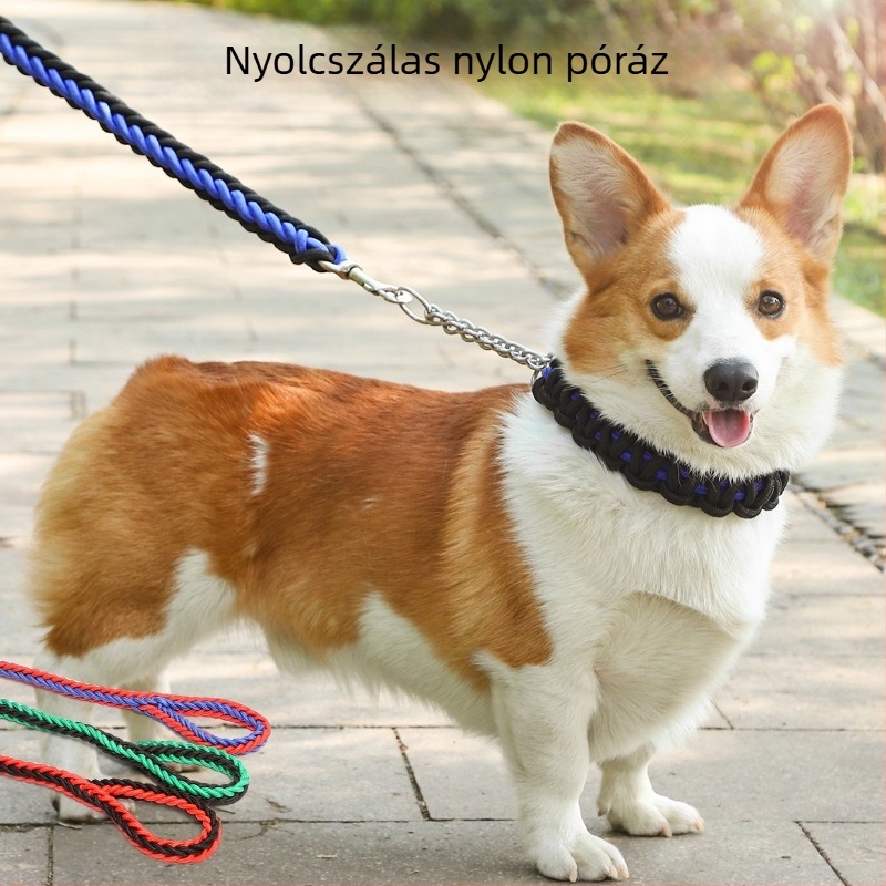 Nyolcszálú fonott nylon póráz, színes, nagytestű kutyák számára