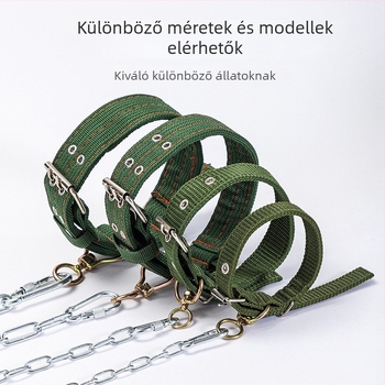 Kutyaleánc és póráz, ABS anyag, háziállat láncok és kötele, ajándékba kész