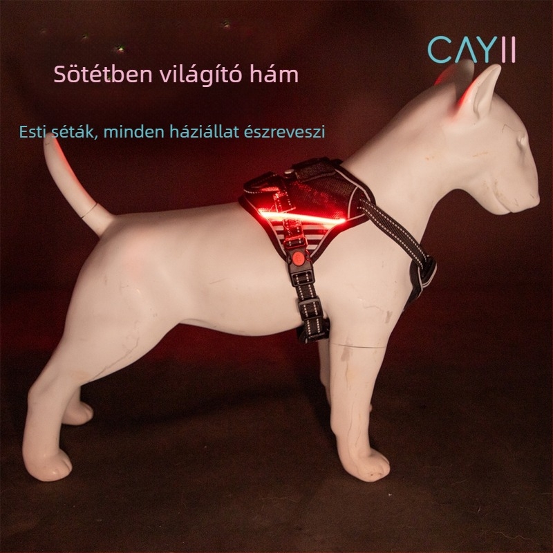 CAYII Nylon LED Reflektív Kutya Hám, Állítható Mellkasi Pánt