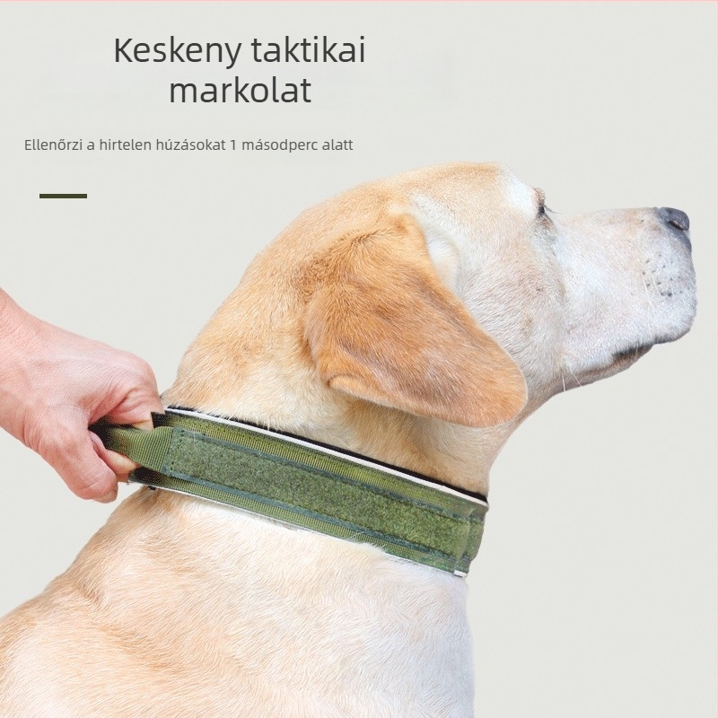 Lunguigi márkájú állítható kutyanyakörv nylon-titán ötvözetből; bővíthető kialakítás