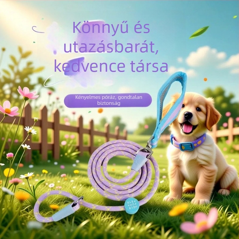 Új tervezésű kutyapóráz integrált biztonsági rendszerrel közepes és nagy testű kutyák számára