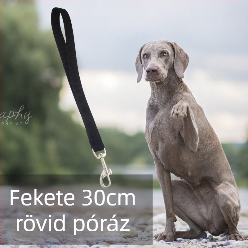 Kétfunkciós pamut kültéri kutyapóráz – rövid póráz közepes és nagy testű kutyáknak, arany retriever és labrador