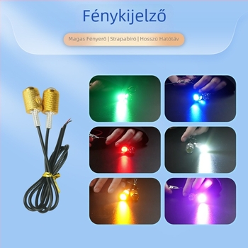 Motorkerékpár LED rendszámtábla világítás – Eagle Eye, 12V, 1W, 30000h, LED, 6500K