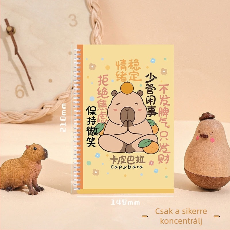 Szabadlapos notesz, 120 g/m² papír, cellulóz alapú, japán-koreai aranyos stílus