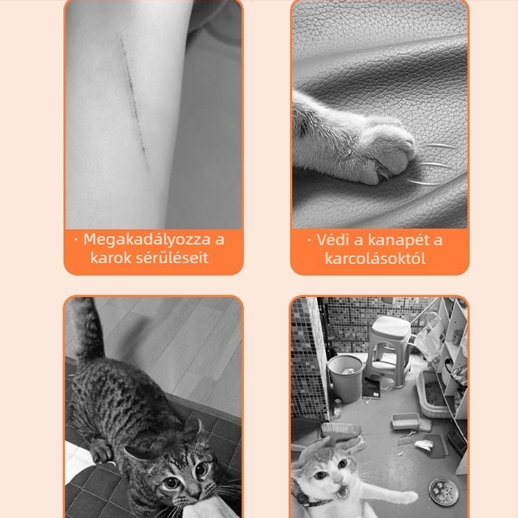 Macska karmapad - kopásálló, nem hullik szálakat, poliészter, 50 darabos dobozban, aranyos stílus, Márka: Más