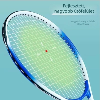 Teniszütő - alumínium ötvözet kerettel; alkalmas tenisre és tollaslabdára; damil anyaga: rostos selyem; fogantyú vastagsága: G1; kar vagy rúd keménysége: közepes