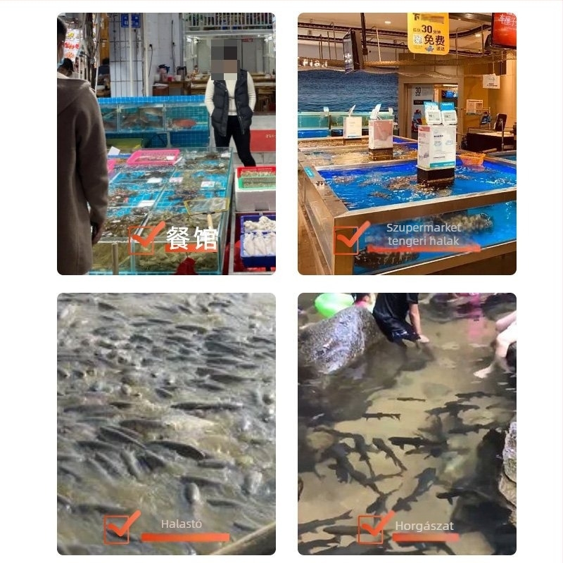 Vas nyelű, lapos fejű halászháló akvakultúrához – Márka: Fishing Tackle – Akváriumi felszerelés