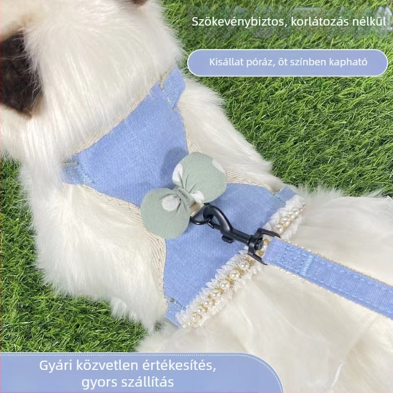 Macska hám és póráz, menekülés elleni mell- és vállrész, aranyos csipke masnival a kültéri sétákhoz