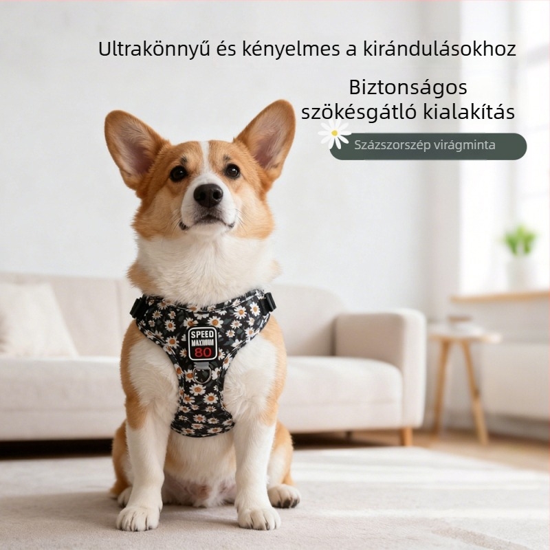 Virágmintás kutya hám állítható pórázzal kistestű kutyáknak